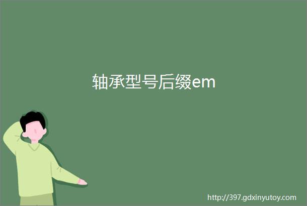 轴承型号后缀em